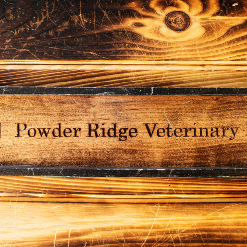 Powder Ridge Veterinary Hospital sign