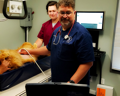 Pet Radiology and Ultrasound